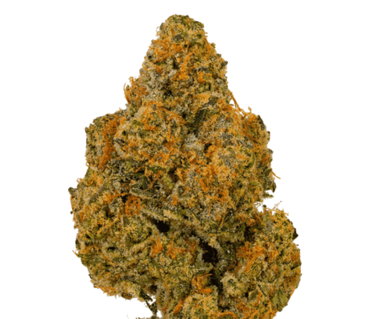 Bathera 24/1 - Z-Splitter