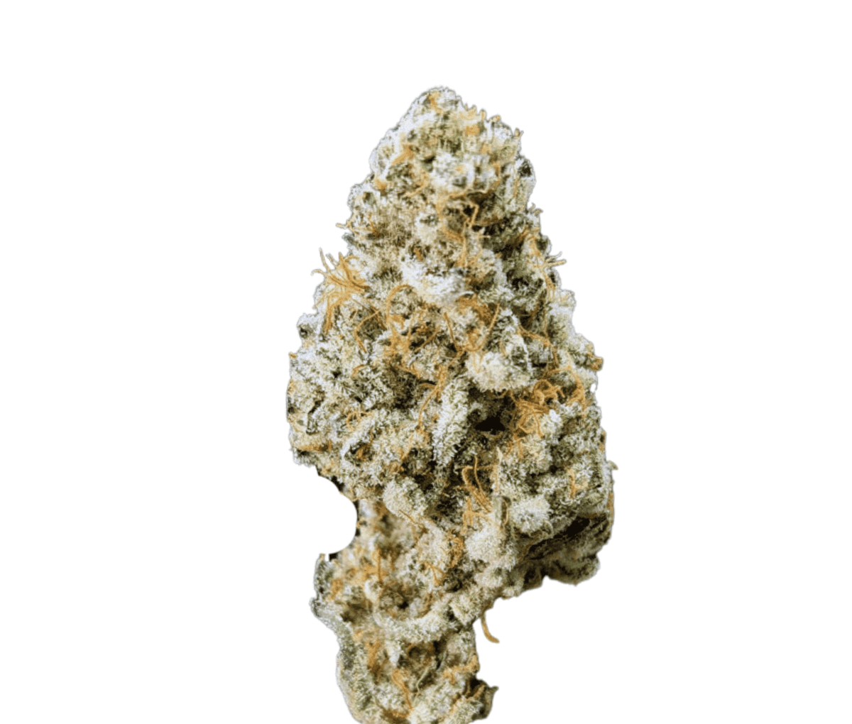 Demecan CRAFT Walkie Talkie 31:01 - Sugar Cake