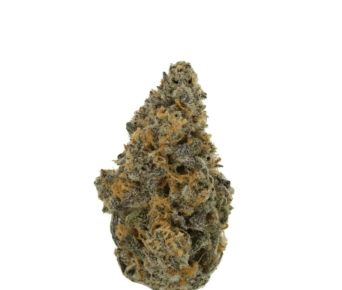 Demecan JM7 25/1 - Jelly Mints