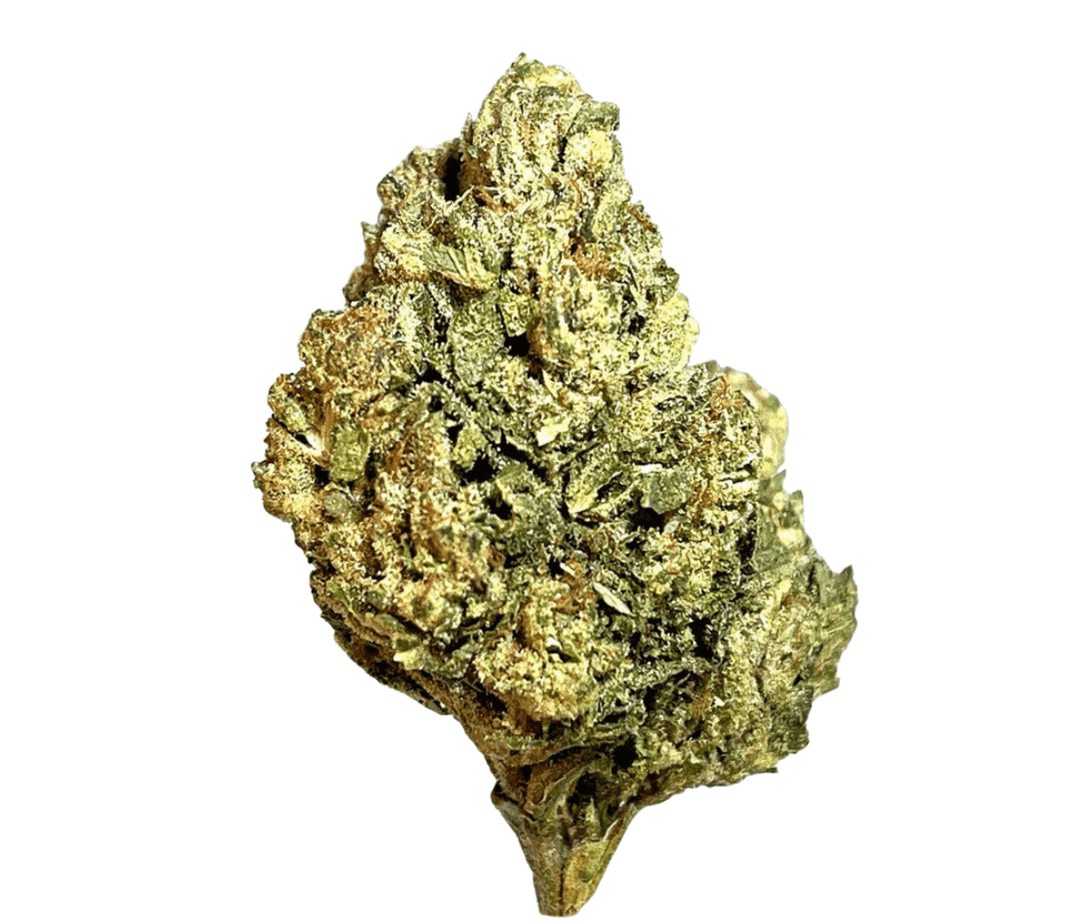 Medical Saints 24/1 PTR - Peach Tree Medical Saints 24/1 PTR - Peach Tree