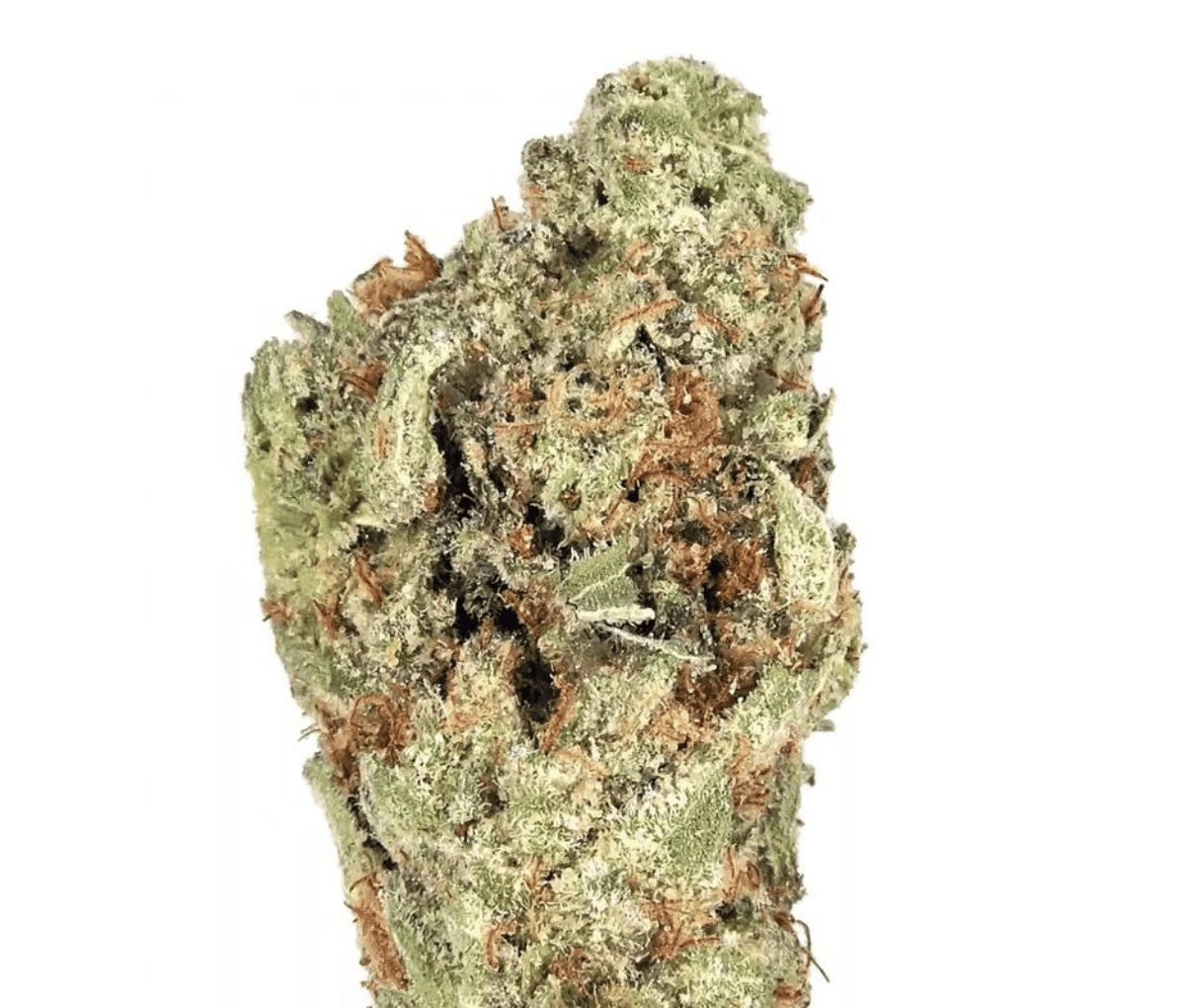 Remexian 27/1 PBB - Peanut Butter Breath