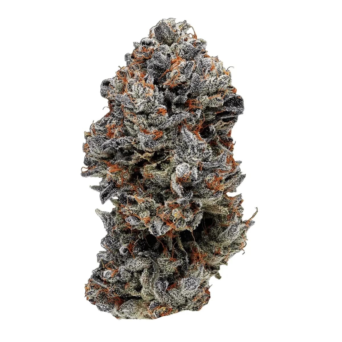 Slouu 33/1 COZ CA - Cookies OZ
