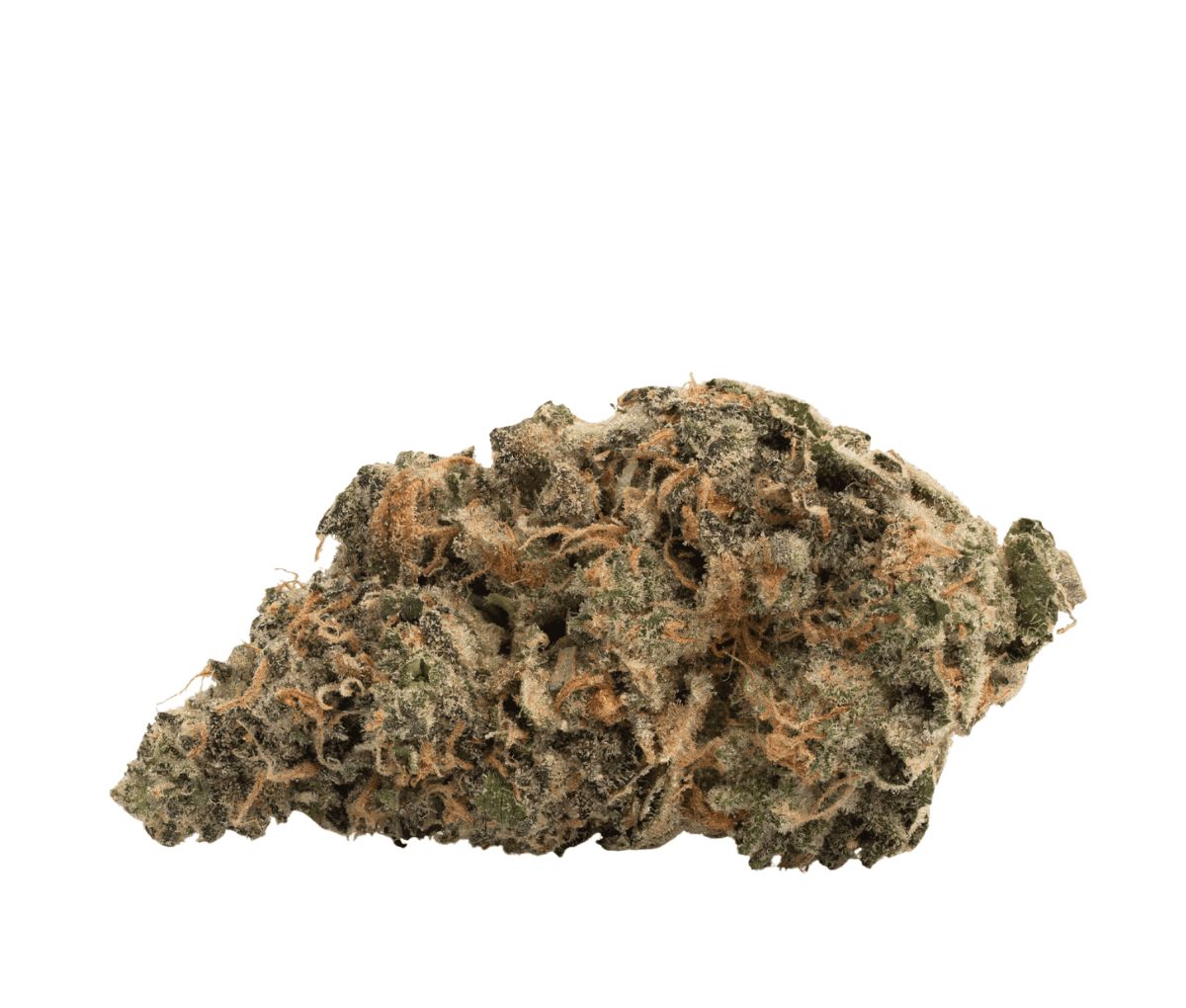 Nimbus easy 26/1 - Appalachian Trail Nimbus easy 26/1 - Appalachian Trail