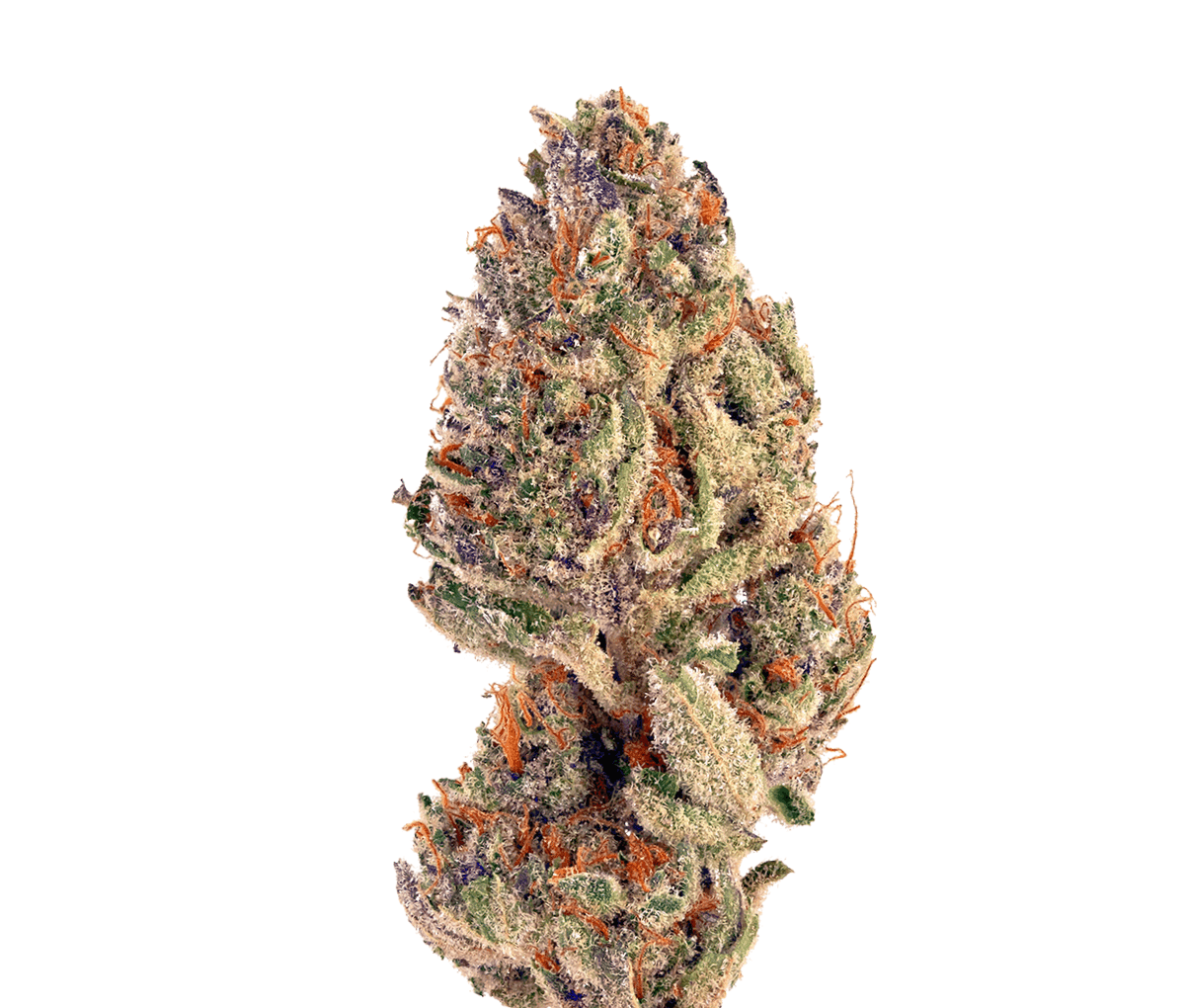 enua 25/1 SLC CA - Slurricane