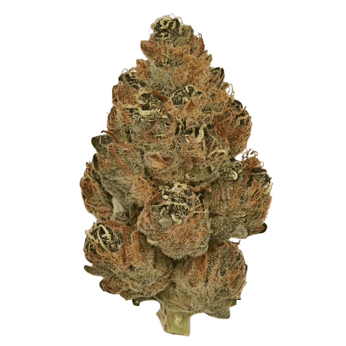 Huala 30/1 CA BKM - Banana Kush Mints