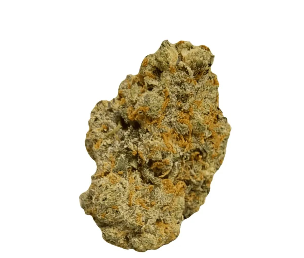 Huala 25/1 UK CIN - Cinderella Kush