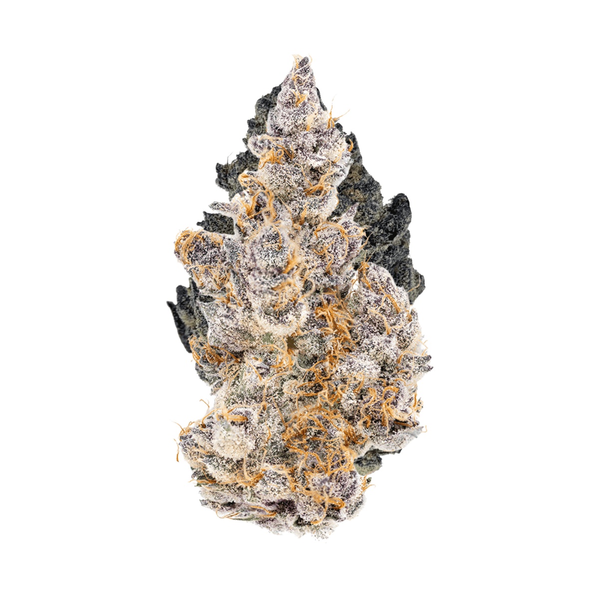 CzechOut 15/1 GBB - Glitter Bomb