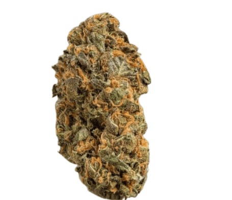 Remexian 30/1 PRT MTP - Mokum's Tulip Remexian 30/1 PRT MTP - Mokum's Tulip