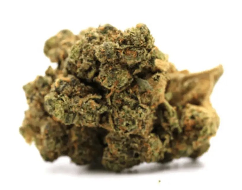 Pedanios 29/1 SRD CA - Sourdough