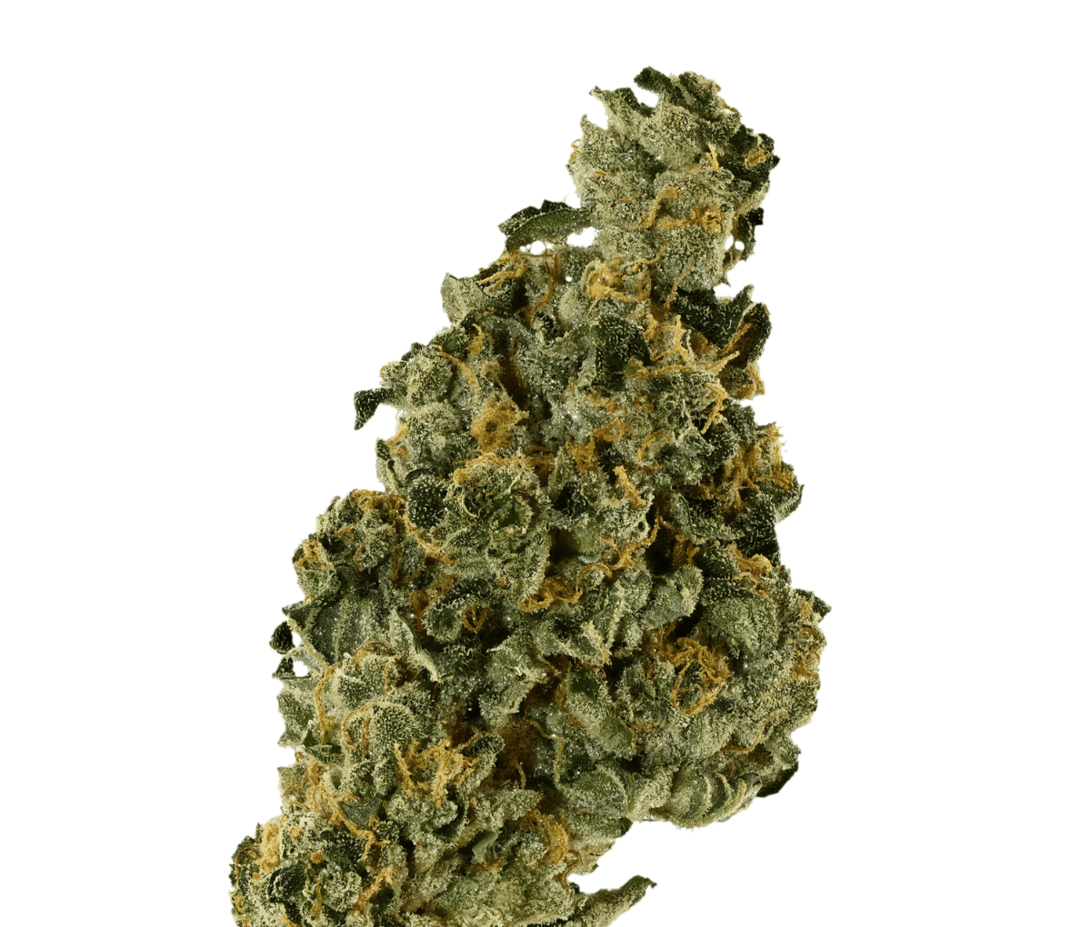 Demecan Core Saxonia 28/01 - Wedding Cake x Jet Fuel Gelato Demecan Core Saxonia 28/01 - Wedding Cake x Jet Fuel Gelato