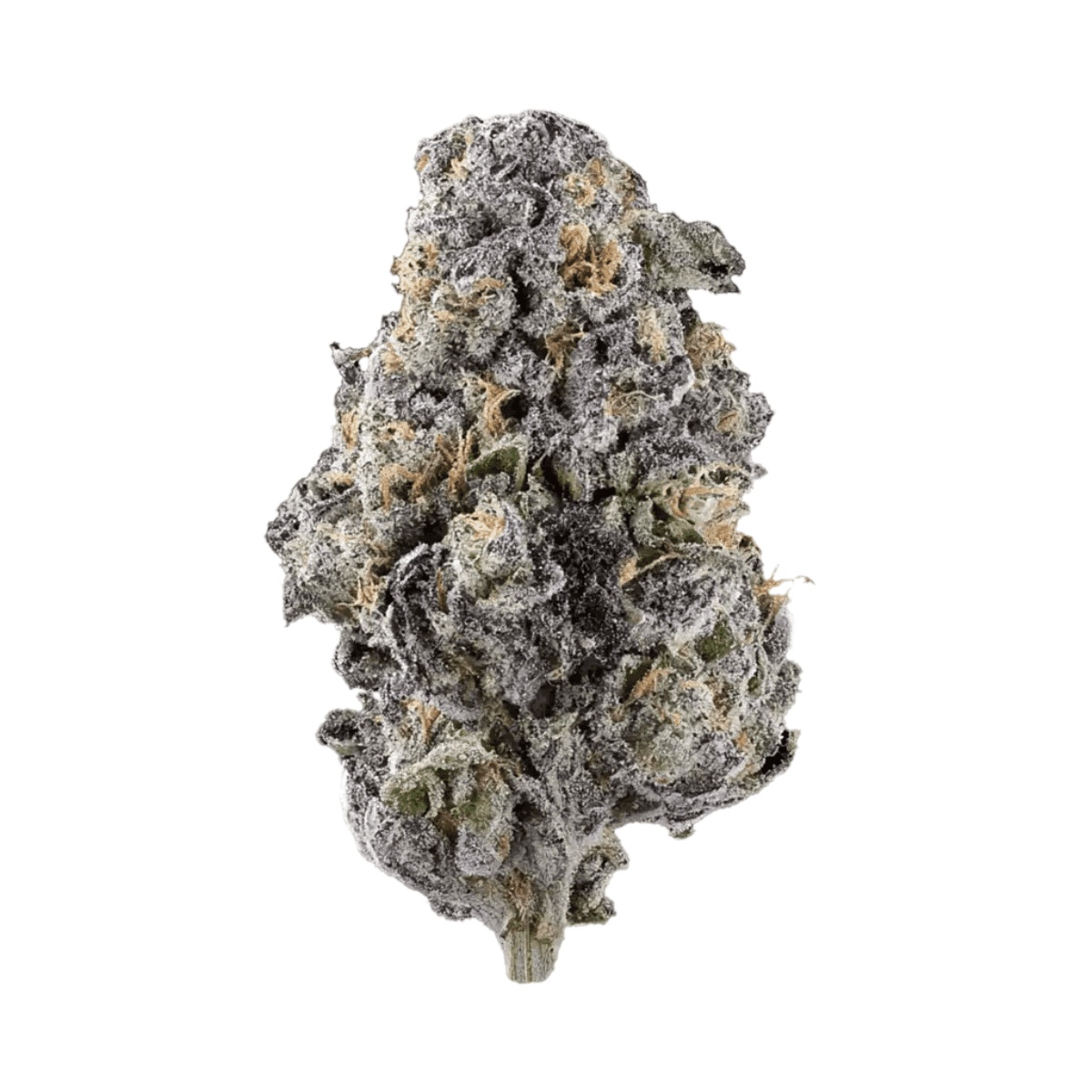 DrWatson 31 AM AUS Alien Mint - Alien Mints