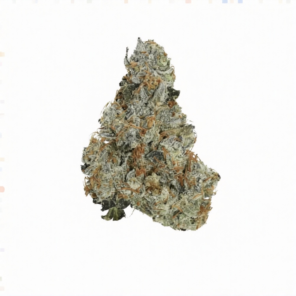 Daily Special 25/1 GMO - OMG GMO