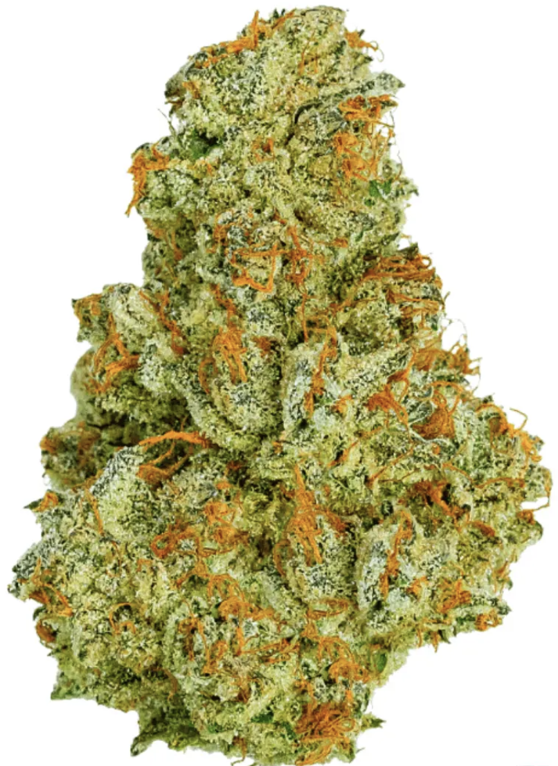 Medical Saints 21/1 USR - Ultra Sour