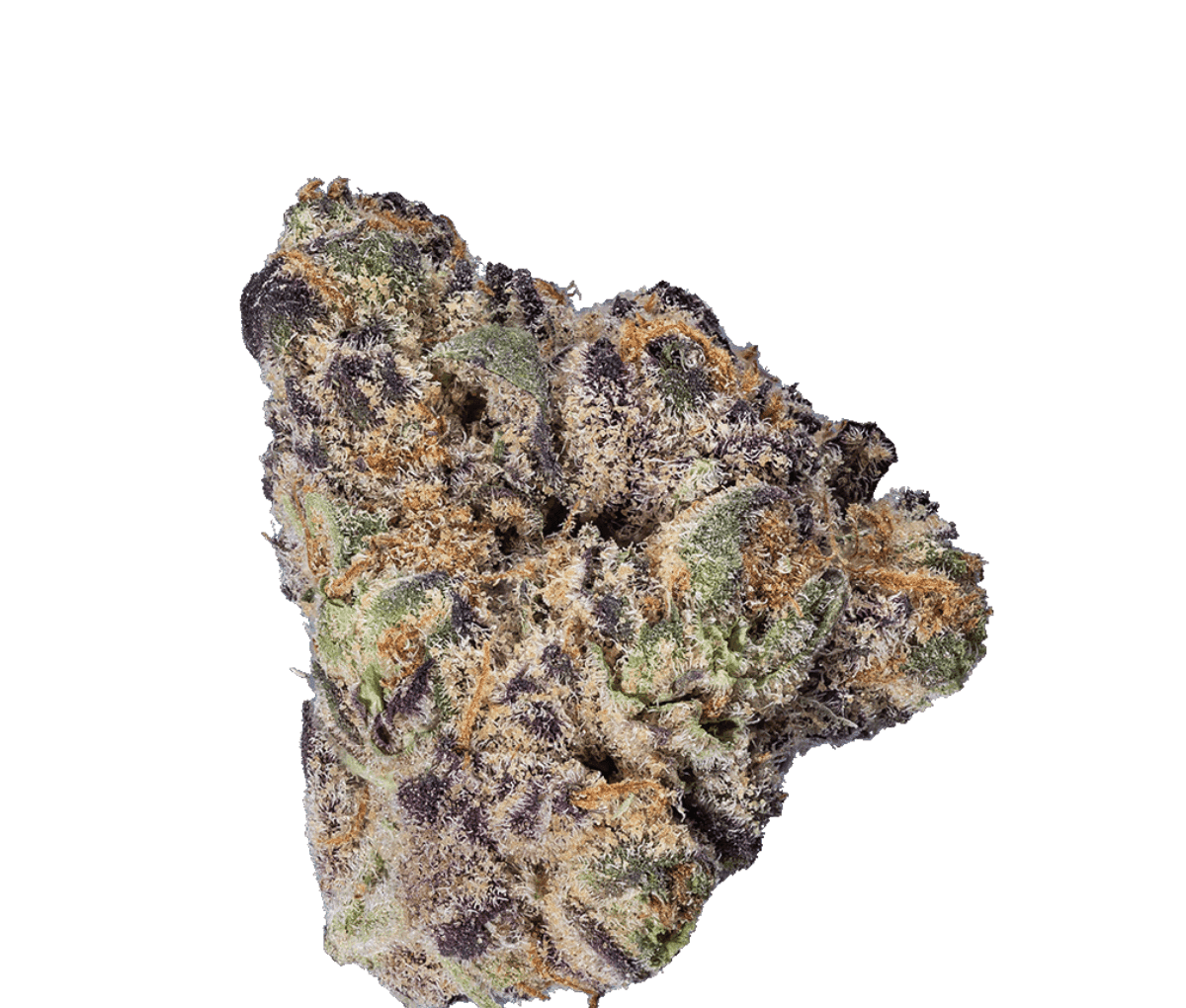 enua 25/1 GGZ - Gogurtz enua 25/1 GGZ - Gogurtz