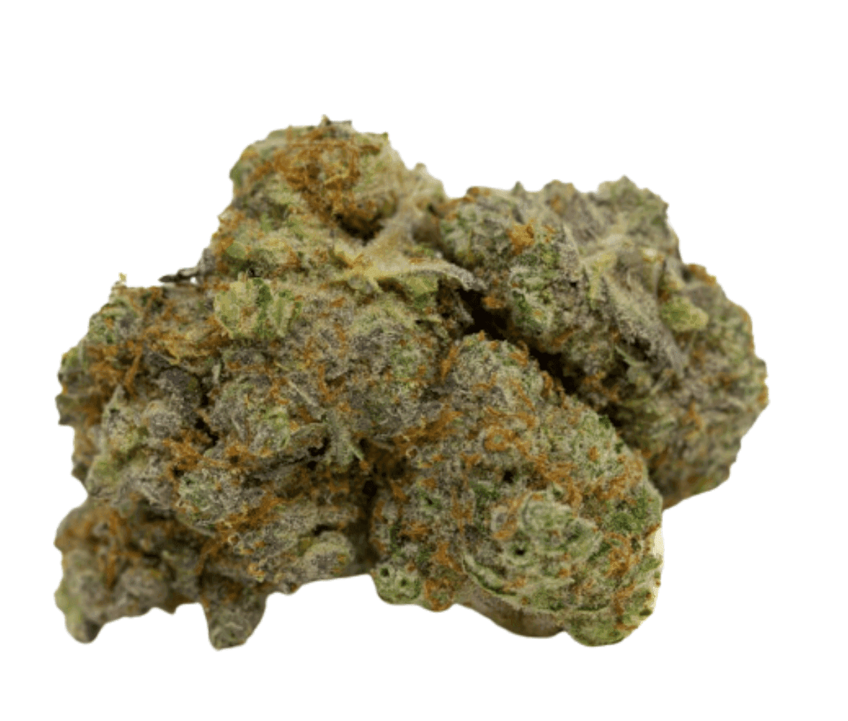 enua 27/1 TIB CA - Tickle Burger enua 27/1 TIB CA - Tickle Burger