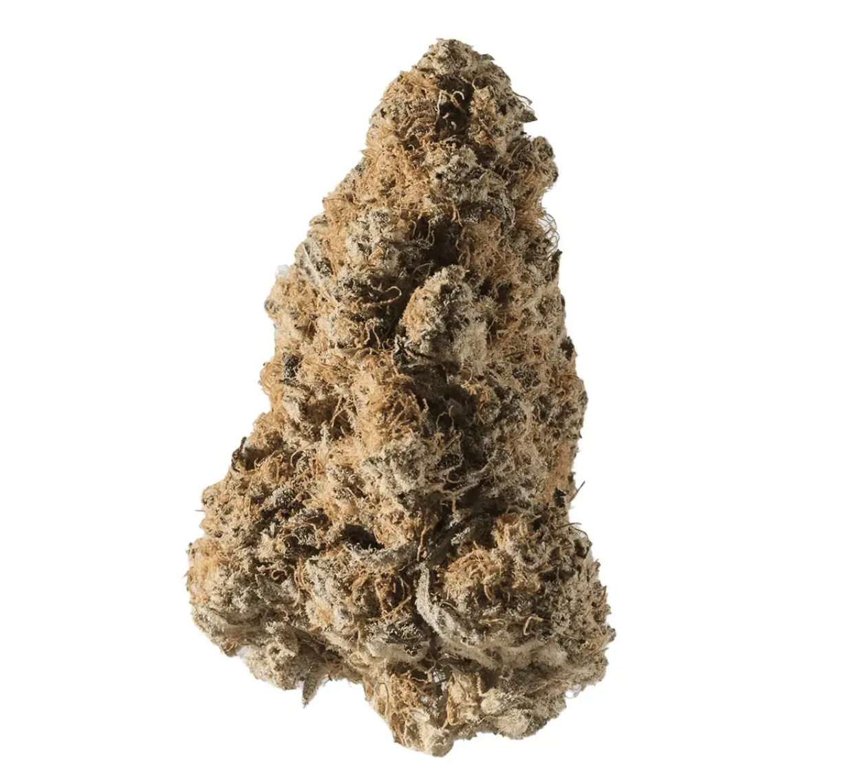 Medical Saints 24/1 PLC Platinum Garlic 