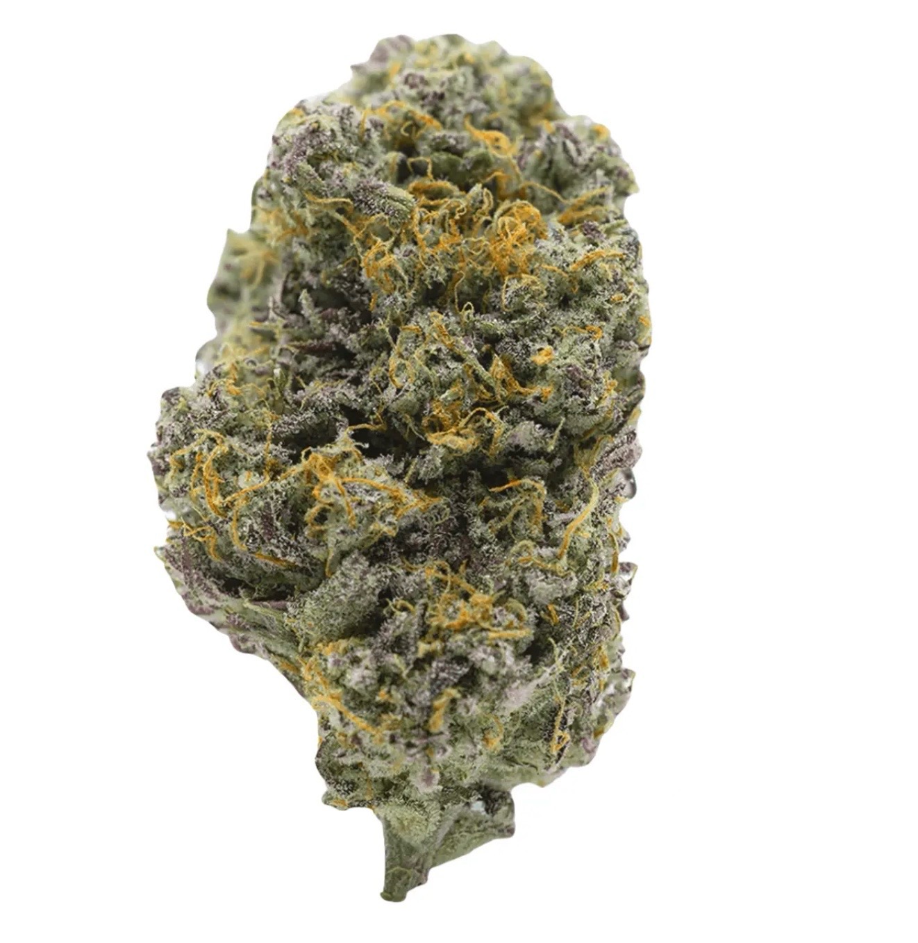 Barongo 26/1 VPR Lemon Viper Mimosa