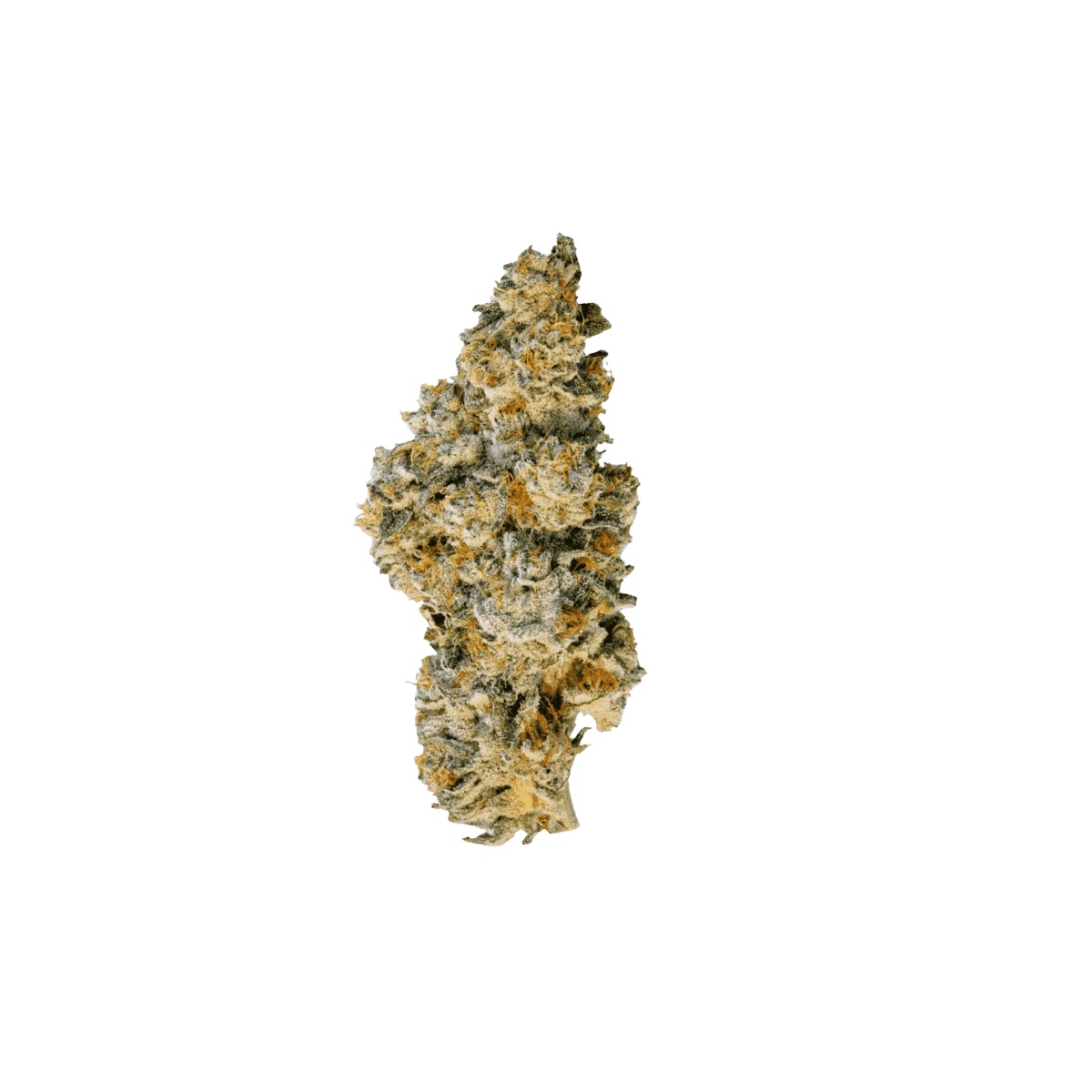 Demecan Craft Aloha 34/1 - 98ALOHA WHITE WIDOW X TRAINWRECK Demecan Craft Aloha 34/1 - 98ALOHA WHITE WIDOW X TRAINWRECK