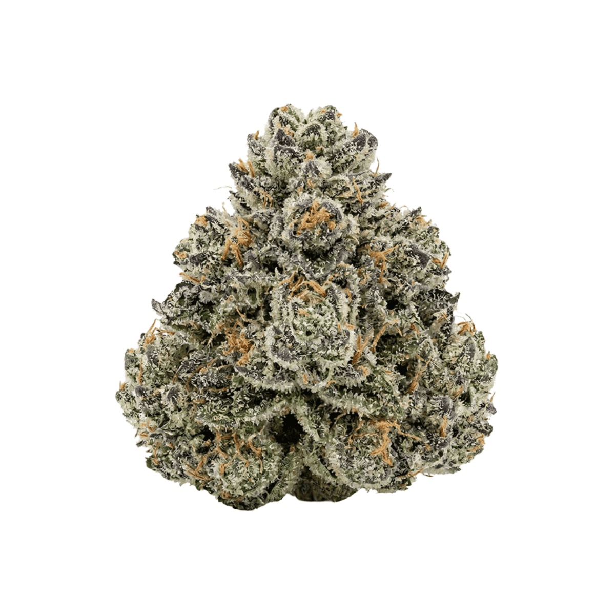 Demecan Craft Platinum 31:1 - Platinum Mac